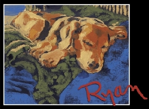 Sun Dog by Ryan Bozis Oil ~ 8 x 10 Sun Dog by Ryan Bozis Oil ~ 8 x 10