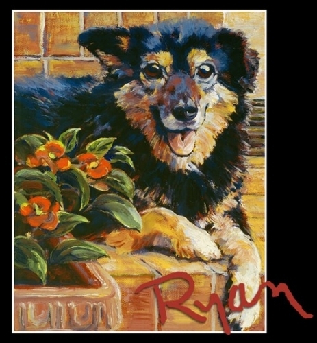 Casey by Ryan Bozis Oil ~ 14 x 11 Casey by Ryan Bozis Oil ~ 14 x 11